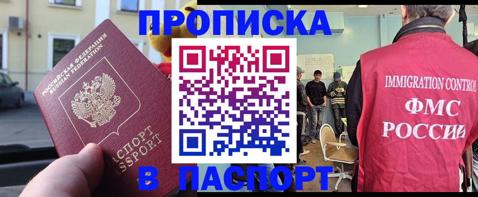 временная регистрация поиск в Белгородской области